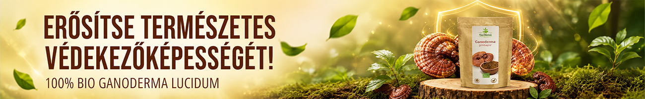 Biomenü Bio Ganoderma gombapor