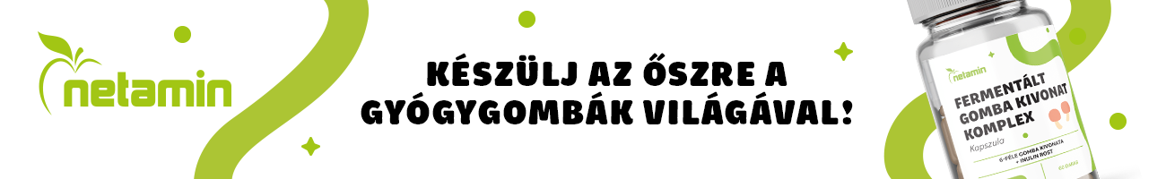 Netamin Fermentált Gomba Kivonat Komplex